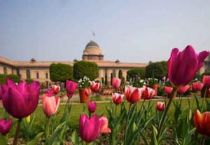 தினமலர் இரவு 10 மணி செய்திகள் - 01 FRB 2026