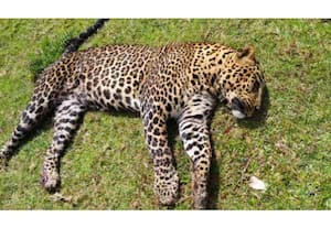 தினமலர் காலை 10 மணி செய்திகள் - 08 FEB 2026