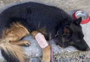 தினமலர் மதியம் 3 மணி செய்திகள் - 24 FEB 2026