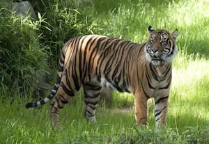 தினமலர் பகல் 12 மணி செய்திகள்  - 09 MAR 2026