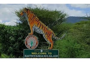 தினமலர் பகல் 12 மணி செய்திகள் - 20 MAR 2026