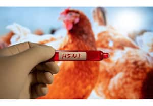 தினமலர் இரவு 8 மணி செய்திகள் - 22 Mar 2026