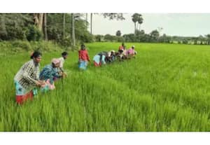 தினமலர் மதியம் 2 மணி செய்திகள் - 15 JULY 2026