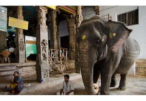 தினமலர் மாலை 4 மணி செய்திகள்  - 03 Sep 2026