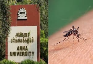 தினமலர் இரவு 8 மணி செய்திகள்  - 28 Sep 2026