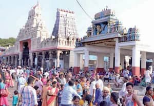 தினமலர் பகல் 12 மணி செய்திகள்  - 19 Oct 2026