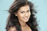 Tamil New FilmVelai Illa Pattathari