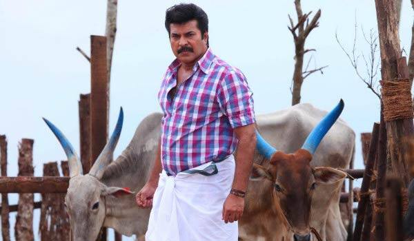 Mammootty-acting-as-kabadi-player