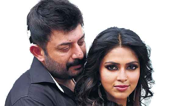 aravindsamy--amalapaul-jodi