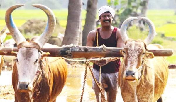 Samuthirakanis-next-movie-titled-as-Vellaiyaanai