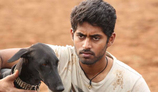 Pariyerum-Perumal-selected-for-GOA-film-festival