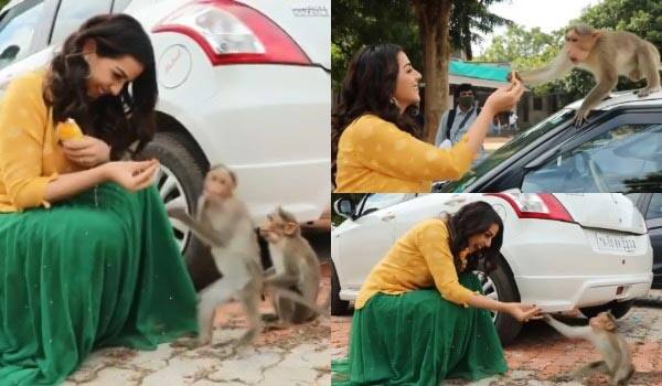 Nikki-Galrani-playing-with-monkey