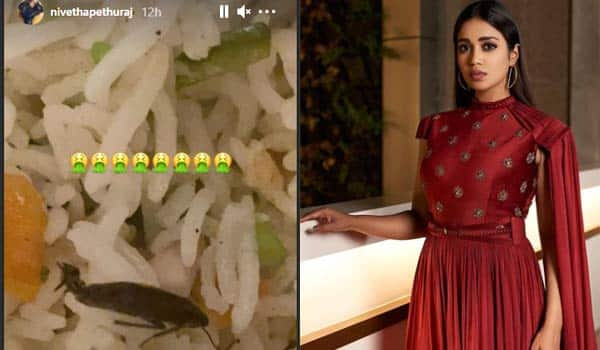 Cockroach-in-food-:-Nivetha-Pethuraj-complaint