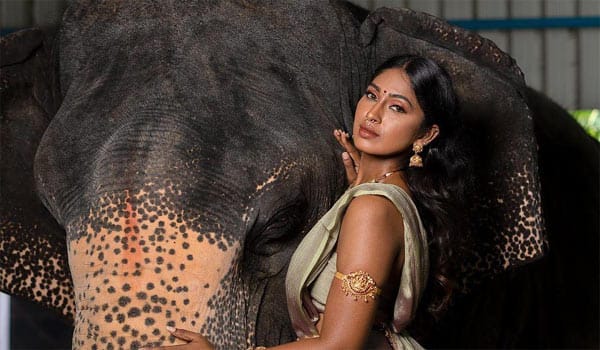 Suruthi-photoshoot-with-Elephant