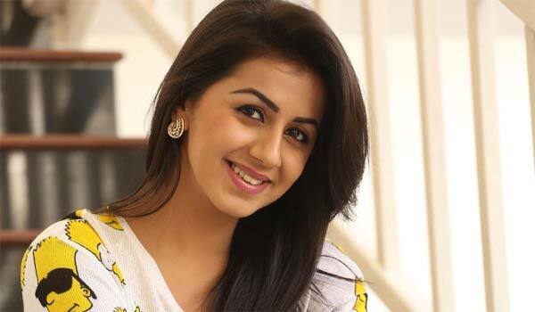 Theft-at-Nikki-Galrani's-home