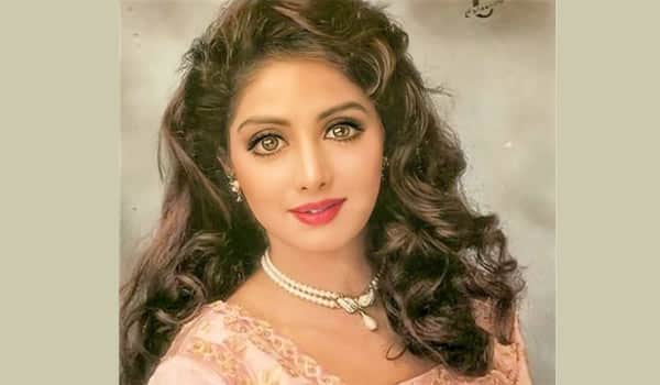 Actress-Sridevi-biography-book-will-be-published-later-this-year