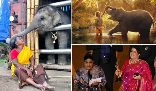 The-Elephant-Whisperers-Wins-Oscar