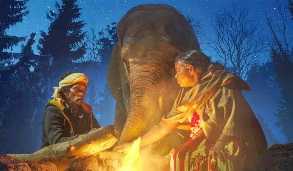 The-Elephant-Whisperers-gets-a-lot-of-attention-after-the-Oscars-award