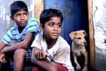 Kakka Muttai