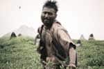 Paradesi