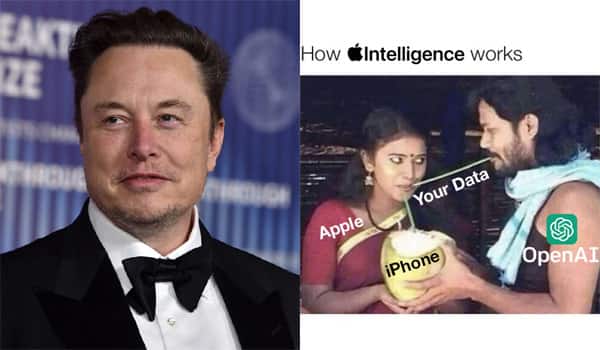 Elon-Musk-shares-Thapattam-image-memes