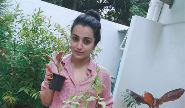 Compound-wall-issue:-Trisha-reconciles-with-neighbour