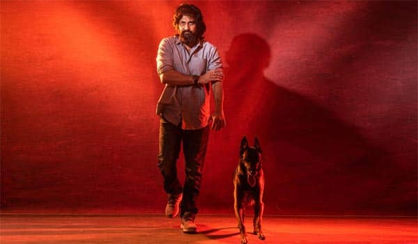 Belgian-Malinois-dog-to-play-pivotal-role-in-actor-Richard-Rishi-starrer-Subramani