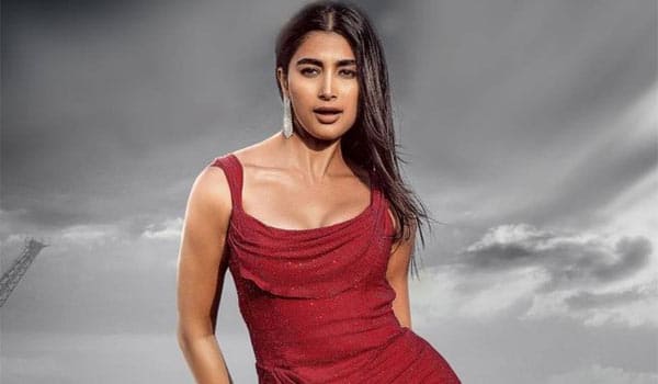 A-song-and-dance---Will-Pooja-Hegde-be-as-well-received-as-Tamannaah