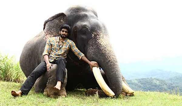 Permission-to-release-the-film-Kumki-2