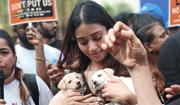 Nivetha-Pethuraj-speaks-out-in-support-of-street-dogs