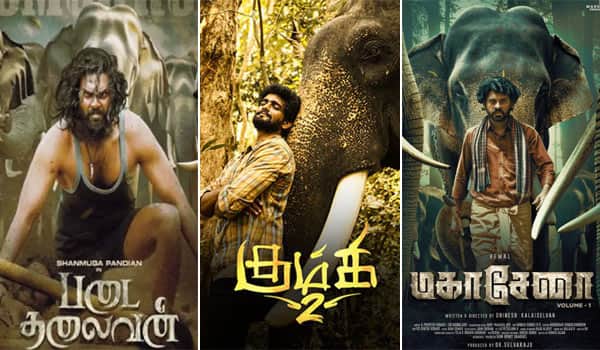 This-years-3rd-elephant-film