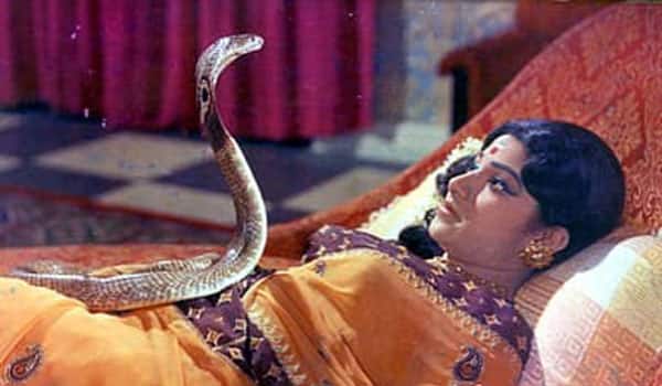 Flashback-Jayachithra-bravely-acted-with-a-real-snake