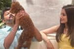 விஜய்க்கு வாழ்த்து போட்டோ: பரபரப்பை ஏற்படுத்திய திரிஷா