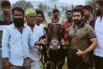 வாடிவாசல் : வெற்றிமாறன் பேச்சிலும் குழப்பம்