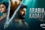 5 மொழிகளில் வெளியான ஆனந்தியின் வெப் சீரிஸ்