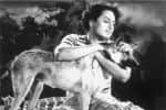 பிளாஷ்பேக்: கருணாநிதியுடன் இணைந்து படம் தயாரித்த எம்ஜிஆர்