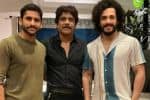 நாகார்ஜுனாவின் 100வது படத்தில் இணையும் நாகசைதன்யா - அகில்