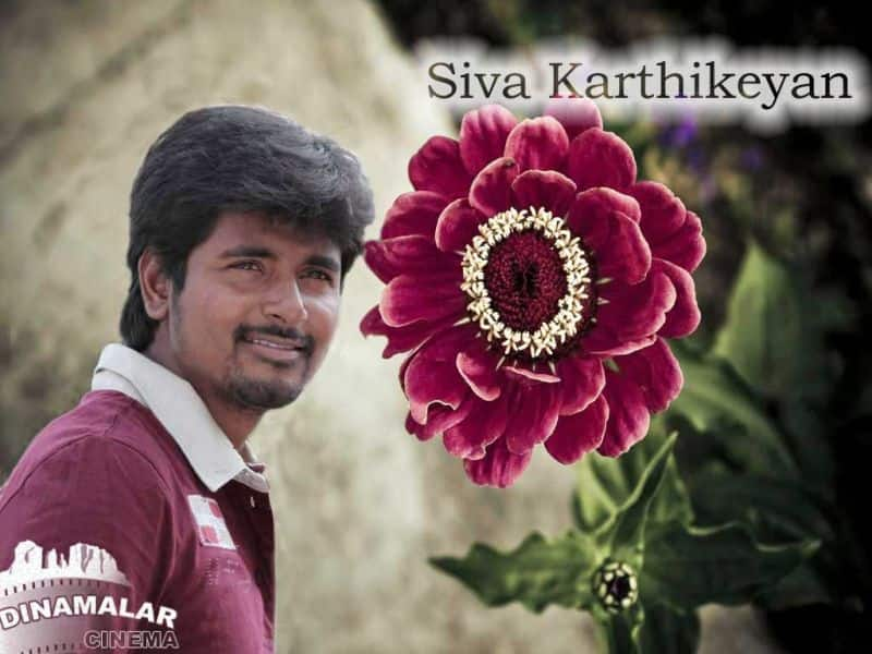 Tamil Cinema Wall paper Sivakarthikeyan