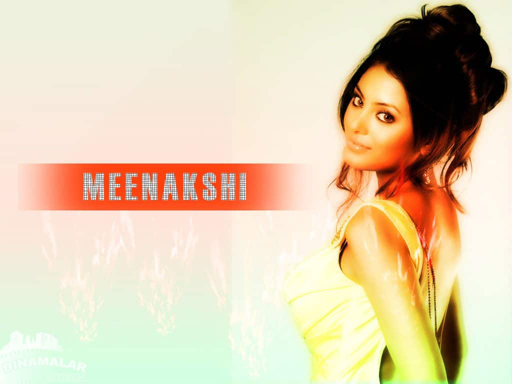 Tamil Actress Wall paper Meenakchi