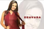 Tamil Flim Wallpaper Bhavana