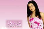 Tamil Flim Wallpaper Trisha