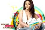 Tamil Flim Wallpaper Neethu chandra