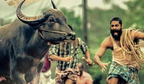 93வது ஆஸ்கர் விருது : வாய்ப்பை இழந்த இந்தியா