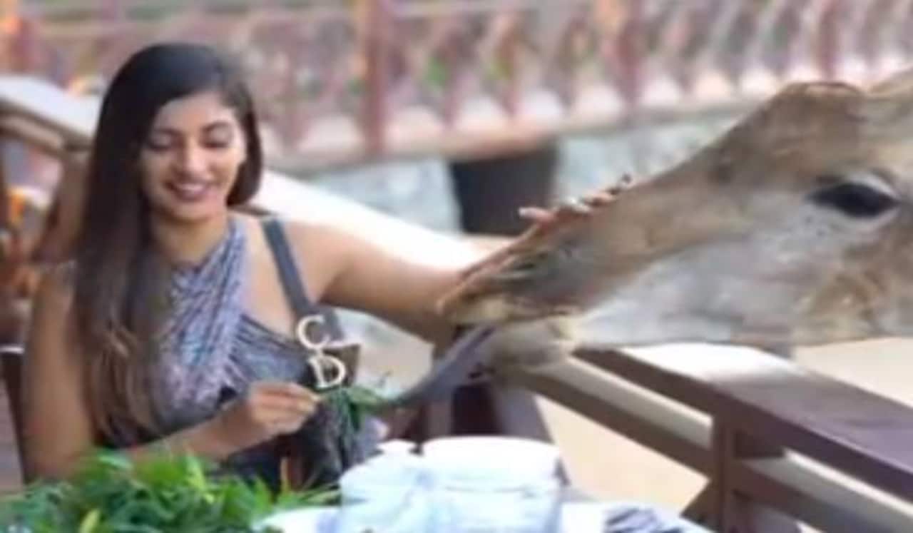 ஒட்டகத்துடன் இப்படியா?