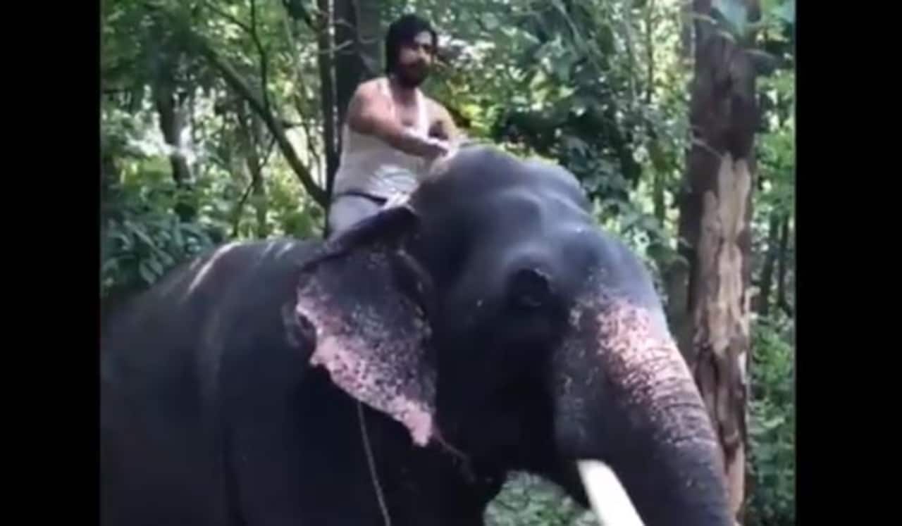 விஷ்ணு விஷால் வெளியிட்ட யானை வீடியோ