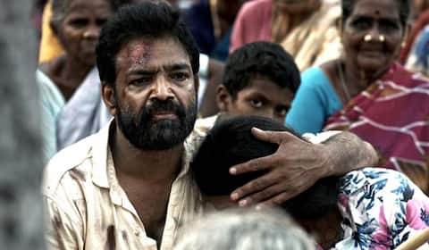 விருதுகளை குவித்த ஒற்றைப் பனை மரம்