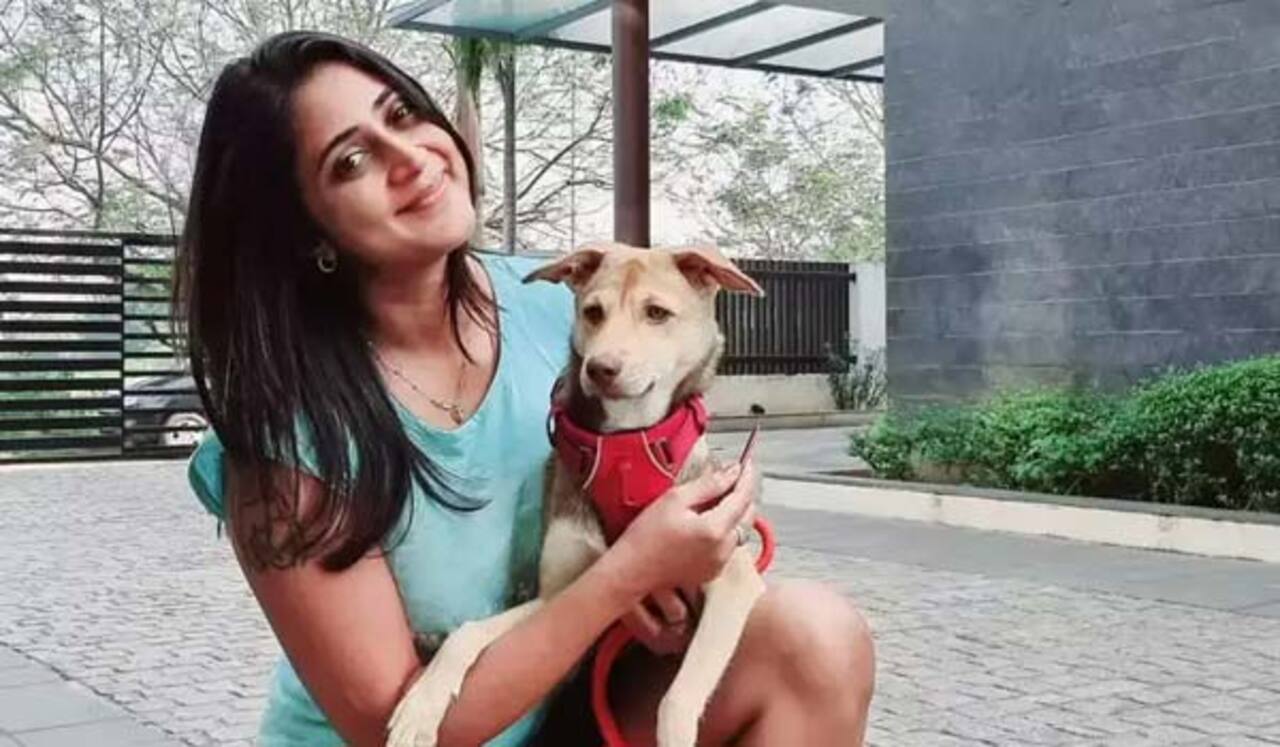 வீட்டுக்கு ஒரு நாய் தத்தெடுப்போம்; கனிகா வேண்டுகோள்