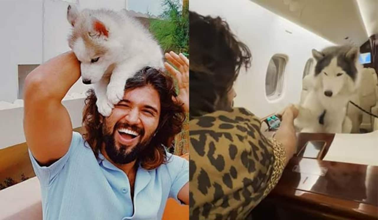 தன் செல்ல நாயுடன் விமானத்தில் பயணித்த விஜய் தேவரகொன்டா