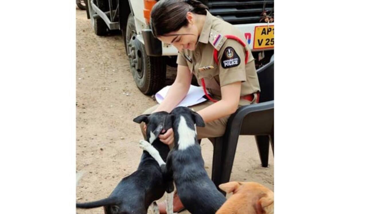 படப்பிடிப்புக்குத் திரும்பிய த்ரிஷா