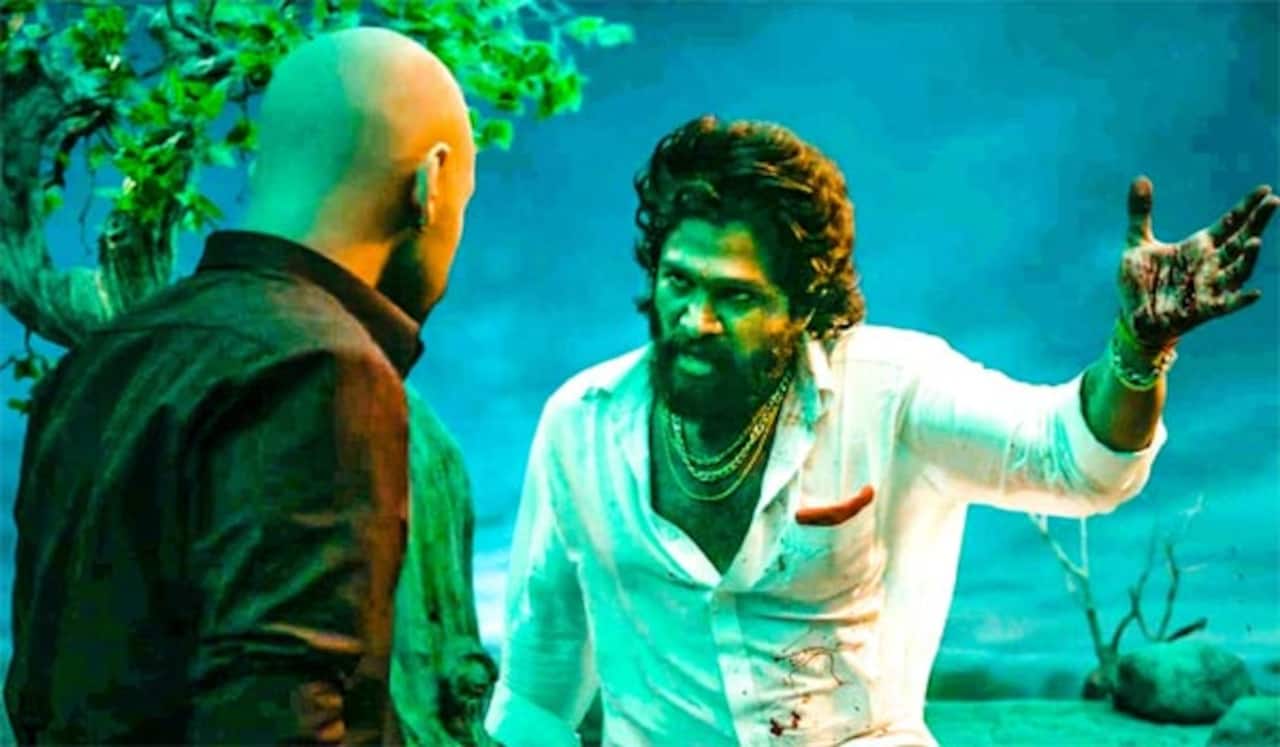 ஹிந்தியில் 100 கோடி வசூலைக் கடந்த புஷ்பா